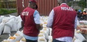 Bizman drags NDLEA to Court over illegal detention, demand N50m