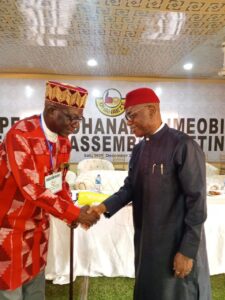 Ohaneze Ndigbo Nominates New President General